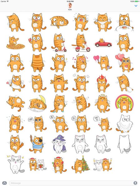 Котики несколько на одном листе