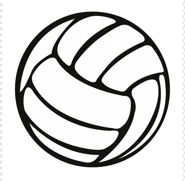Мяч волейбольный logotip