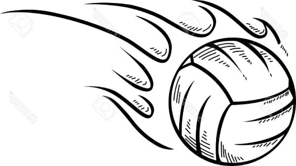 Волейбольный мяч черно белый