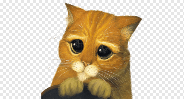 Кот из Шрека без фона