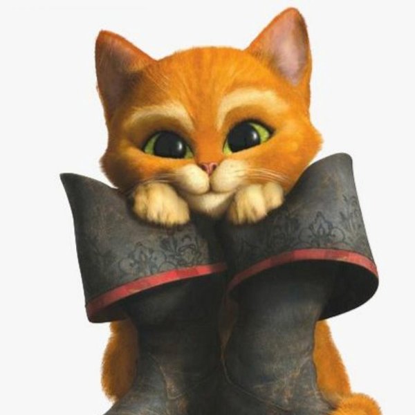 Кот в сапогах на белом фоне