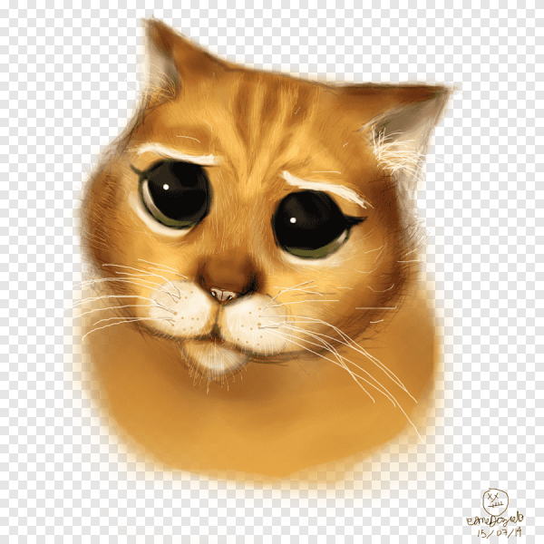 Мордочка кота из Шрека