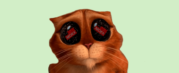 Стикер кот из Шрека