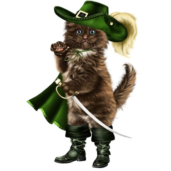 Шляпа кота в сапогах