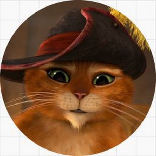 Кот со шляпой из Шрека