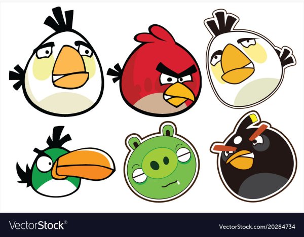 Злая птица вектор