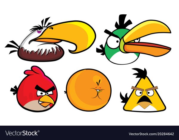 Angry Birds вектор