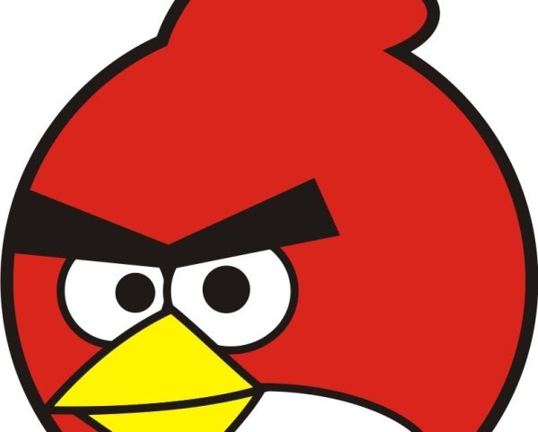 Красный энгриберц