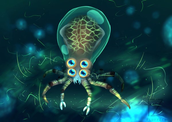 Crabsquid Subnautica