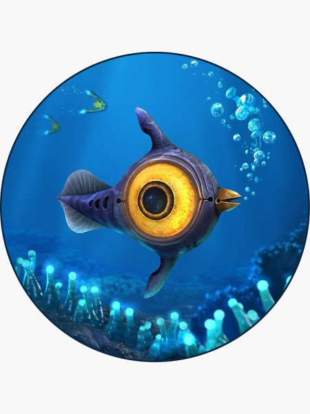 Пискун рыба сабнатика