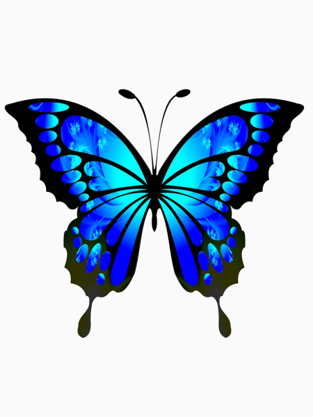 Бабочка рисунок 5 класс