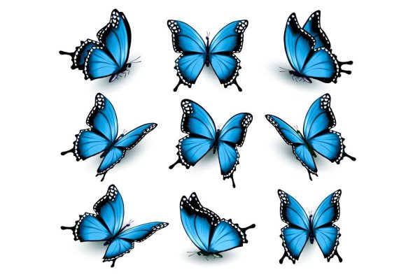 Голубая бабочка стикер