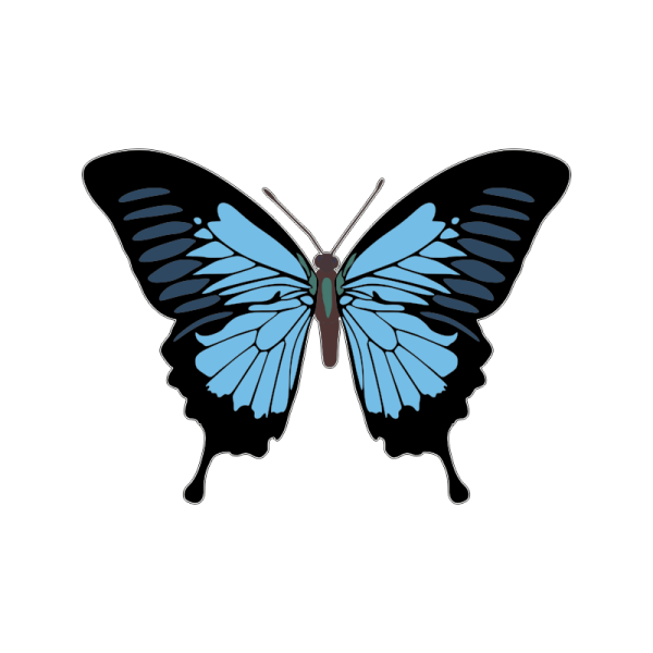 Бабочки клипарт