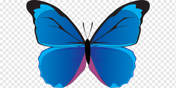 ЭМОДЖИ бабочка голубая