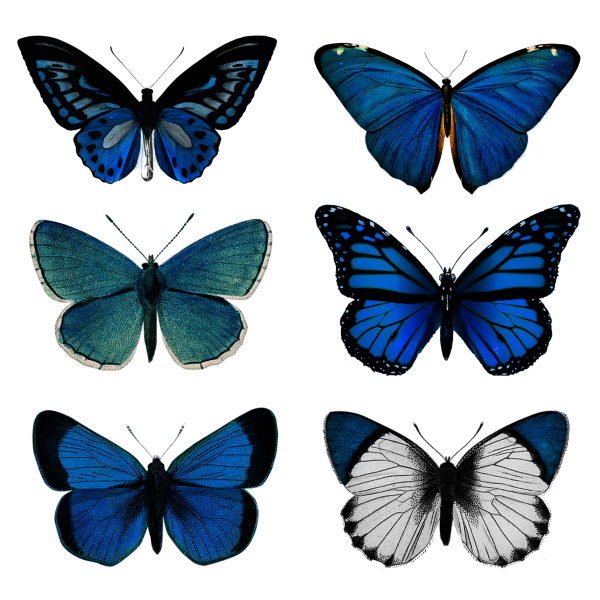 Стикеры "бабочки"