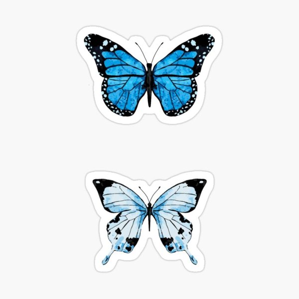 Синие бабочки на прозрачном фоне