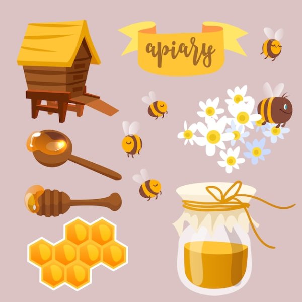 Векторные рисунки Эстетика меда