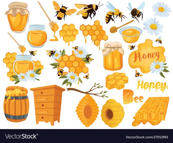 Пчелиный улей вектор