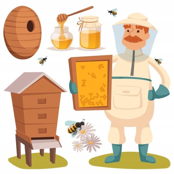 Банка меда скетч