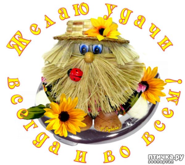 Надпись желаю здоровья