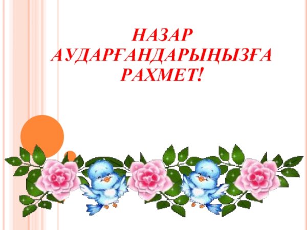 День благодарности большим размерам