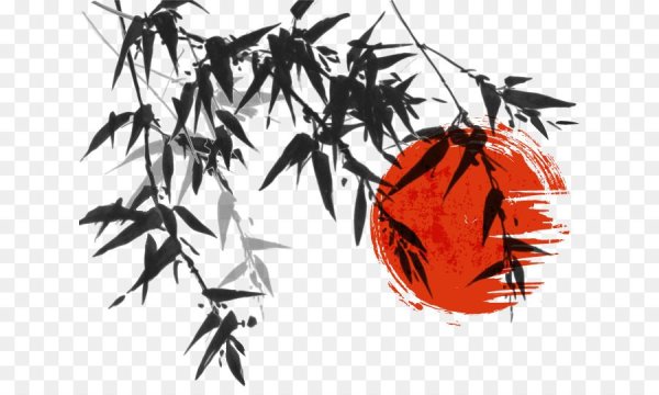 Рисунки корейских напитков