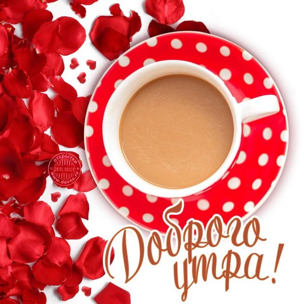 Стикер доброе утро