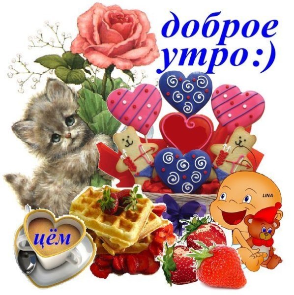 Стикеры доброе утро прикольные