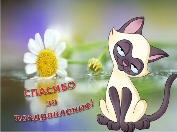 Спасибо за поздравления
