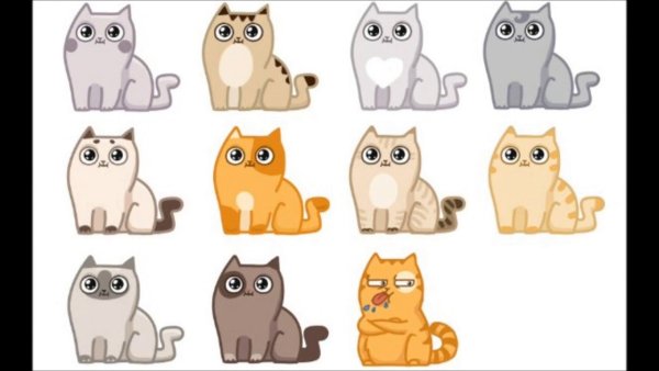 Смайлы кот персик