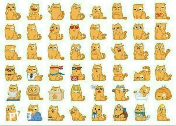 Смайлы кот персик