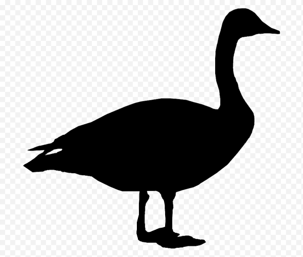 Силуэт водоплавающей птицы