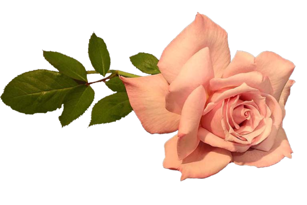 Стикер акция