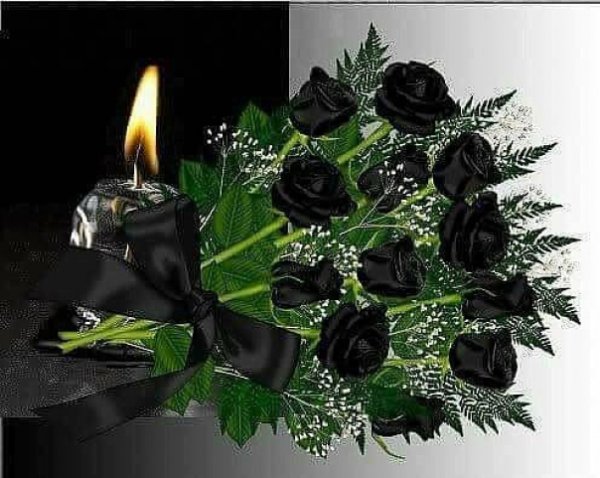 Земля пухом