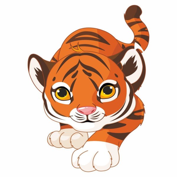 Тигр улыбается вектор