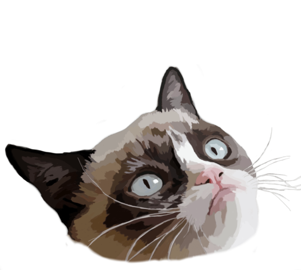 Смешные коты на прозрачном фоне