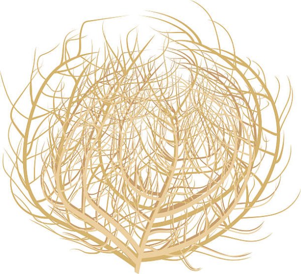 Перекати поле для детей