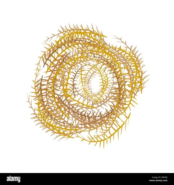 Перекати поле тату