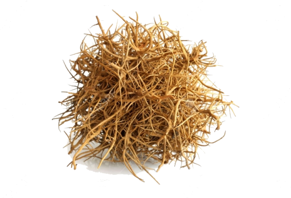 Перекати поле