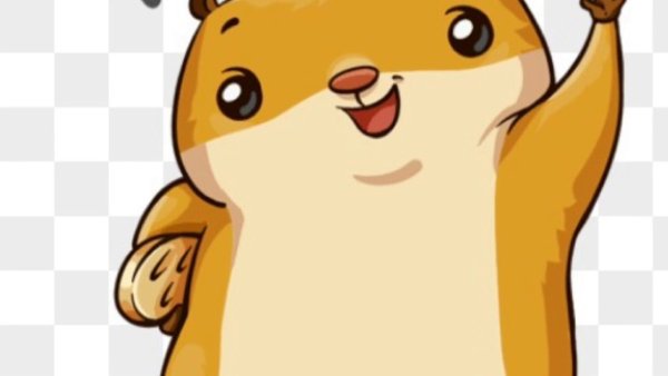 Хомяк Сеня ВК