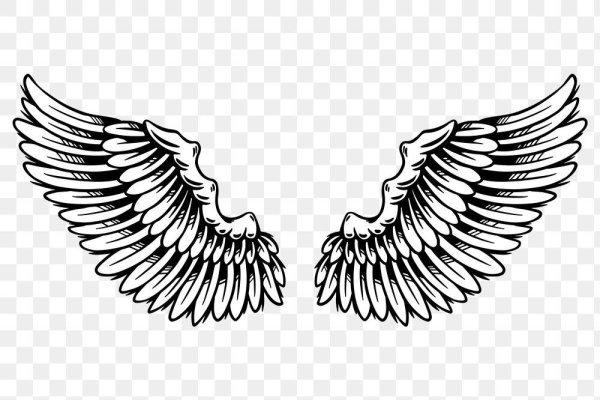 Крылья эмблема вектор