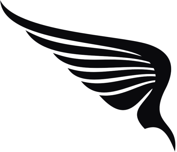 Крылья на прозрачном фоне