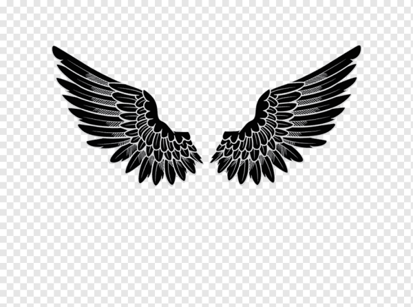 Стилизованные Крылья