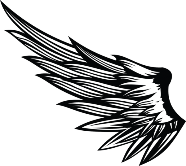 Стилизованное крыло