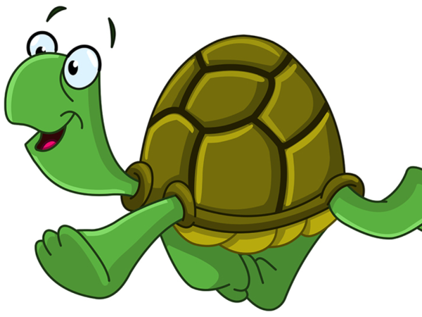 Бегущая черепаха рисунок