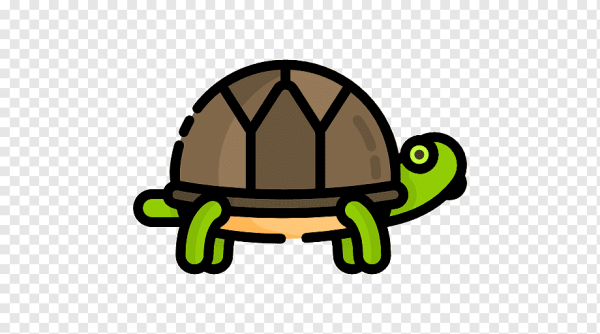 Пиктограмма черепаха