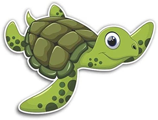 Черепаха рисунок