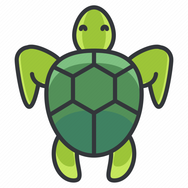 Детский сад Черепашки