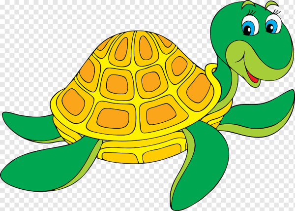 Мудрая черепашка