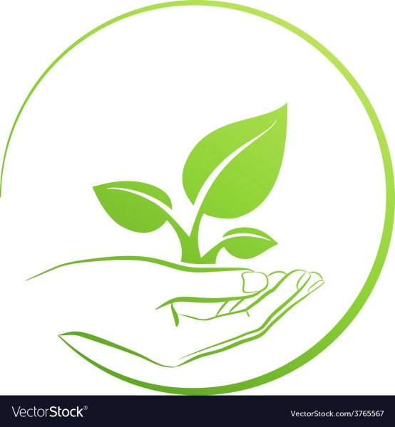 Растение символ